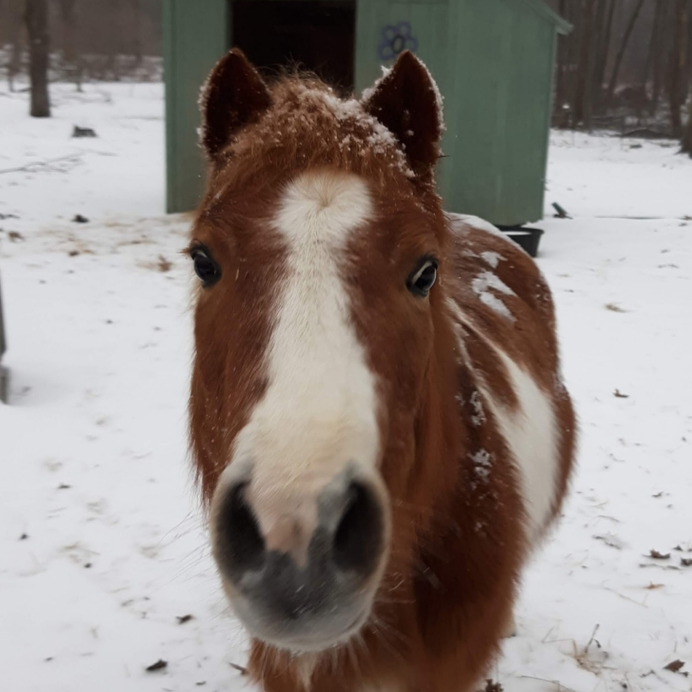 30% Off  All Shoes And Boots